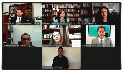 DECLARA TEEM SENTENCIA EN PROCEDIMIENTOS ESPECIALES SANCIONADORES