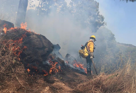 Trabajan en coordinación los tres niveles de gobierno para sofocar incendio forestal en Uruapan