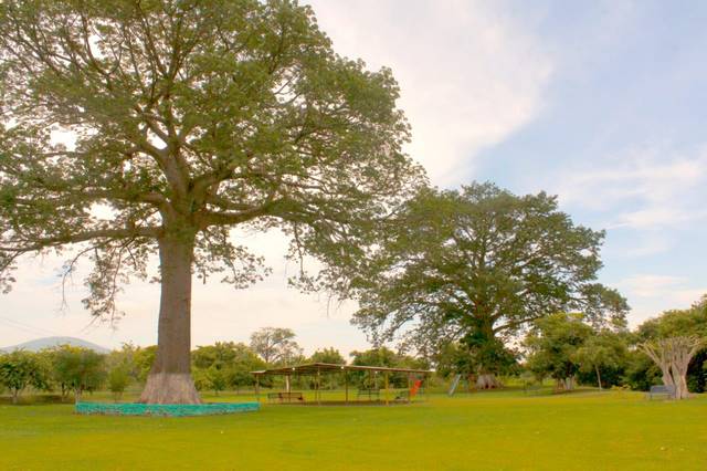 Un hermoso jardín en Pinzándaro