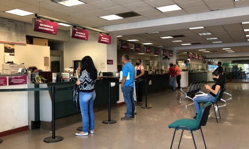 Más de 120 ventanillas para tramitar canje de placas en el estado: SFA