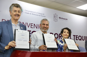 En 2027 será obligatoria la certificación para cultivo de agave para tequila