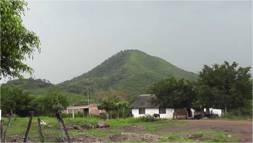 POLÍTICA Y OPINIÓN