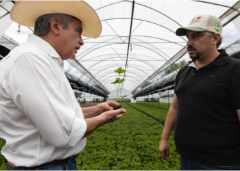 Raúl Morón, el aliado para potenciar el campo michoacano
