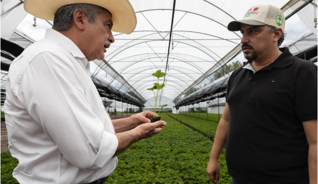 Raúl Morón, el aliado para potenciar el campo michoacano