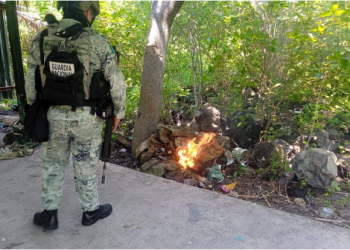 SSP y Defensa destruyen campamento ilícito en Buenavista