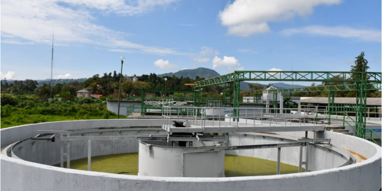 Julio Arreola Impulsa Acciones Históricas para la Conservación del Lago de Pátzcuaro