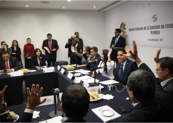 Aprueban Comisiones iniciativa de Raúl Morón para modernizar y volver inclusivas bibliotecas públicas de México