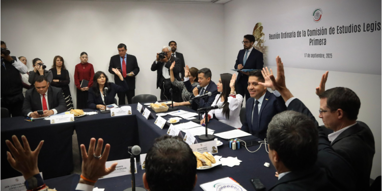 Aprueban Comisiones iniciativa de Raúl Morón para modernizar y volver inclusivas bibliotecas públicas de México