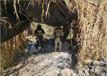 Desmantelados 4 campamentos clandestinos en Buenavista: SSP