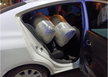 En Zitácuaro, un detenido con cerca de 30 kilos de mariguana: SSP