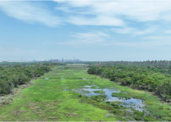 En Brasil, Secma presenta proyecto de cocodrilario ecoturístico en Lázaro Cárdenas
