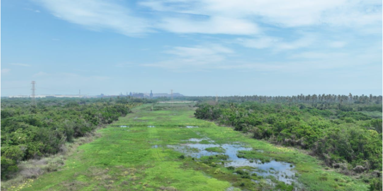 En Brasil, Secma presenta proyecto de cocodrilario ecoturístico en Lázaro Cárdenas