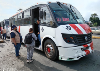 Habrá descuento del 50% en licencias de conducir del servicio público: ITransporte
