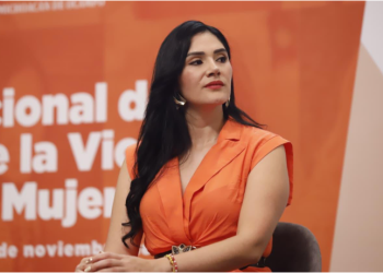 Violencia de género, un tema de urgencia en la agenda gubernamental: Diana Espinoza