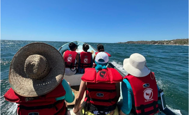 Regresan las ballenas jorobadas al Pacífico michoacano: Compesca