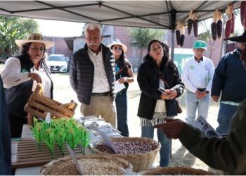Programas federales beneficiarán al campo michoacano en 2026: Sader