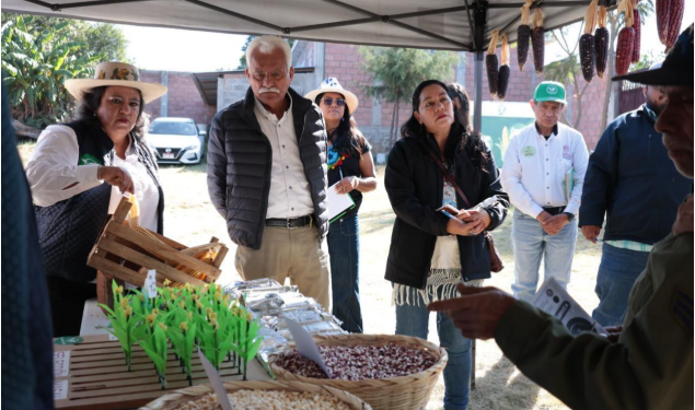 Programas federales beneficiarán al campo michoacano en 2026: Sader