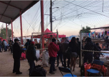 Guardia Civil desactiva palenque clandestino en Pátzcuaro