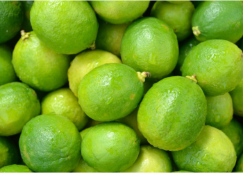 Plan Michoacán destina 720 mdp para apoyo a productores de cítricos en Tierra Caliente: Sader