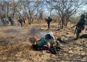 SSP destruye en Buenavista campamento ilícito y asegura 3 vehículos con reporte de robo