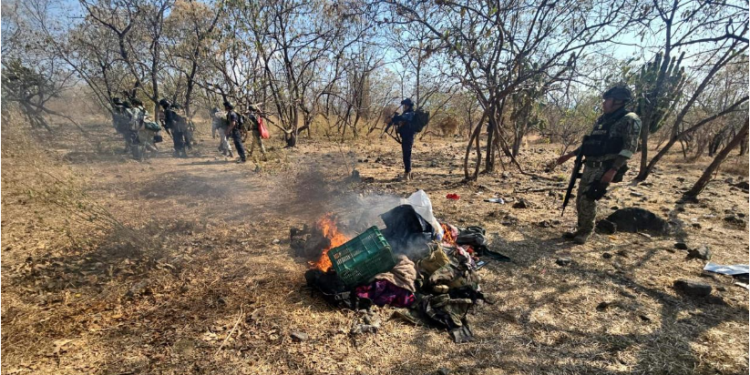 SSP destruye en Buenavista campamento ilícito y asegura 3 vehículos con reporte de robo