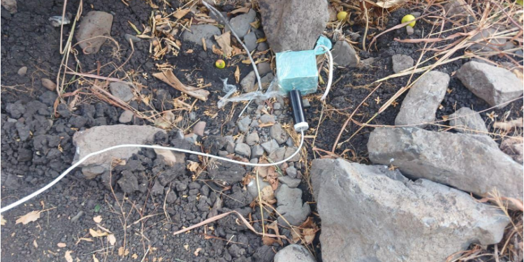 SSP y Defensa desactivan 4 explosivos improvisados en Buenavista