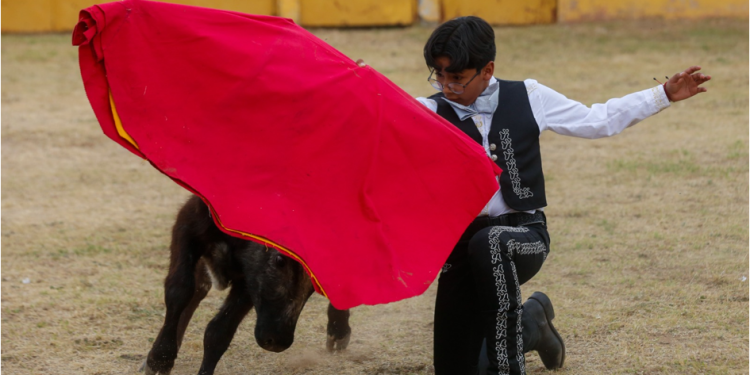 Tarde de emociones en el XIX Aniversario de la Academia Taurina Municipal de Morelia. Gibran Lozano se entregó por completo en una faena de esfuerzo y corazón, ante el eral “Colegial”, que sacó nobleza y exigencia. Al final, el reconocimiento llegó de manos del maestro Octavio Castro “El Santanero”, como premio al valor, la entrega y la pasión por la tauromaquia.