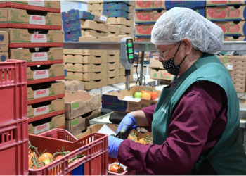 Michoacán superó la meta de 500 mil nuevos empleos formales en 2025