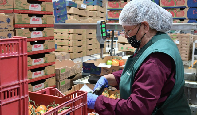 Michoacán superó la meta de 500 mil nuevos empleos formales en 2025