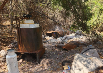 Guardia Civil decomisó en 2025 más de 8 toneladas de droga