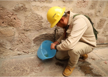 En 2025, Michoacán registró 81 % menos casos de dengue: SSM