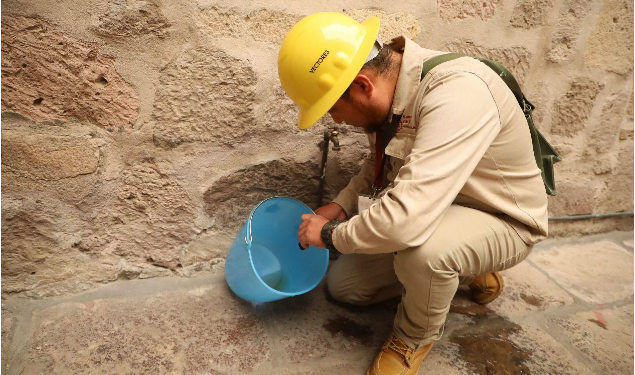 En 2025, Michoacán registró 81 % menos casos de dengue: SSM