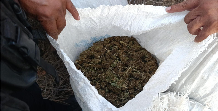 Asegurados 53 kg de marihuana en Huetamo: SSP