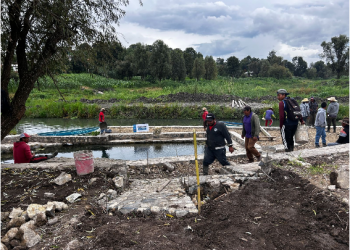 Empleo temporal y limpieza integral marcan la ruta para rescate del lago de Pátzcuaro: Compesca