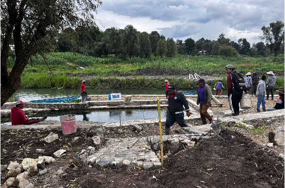 Empleo temporal y limpieza integral marcan la ruta para rescate del lago de Pátzcuaro: Compesca
