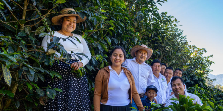 Sembrando Vida lleva productos de pueblos indígenas a BIOFACH y FRUIT logística 2026 en Alemania