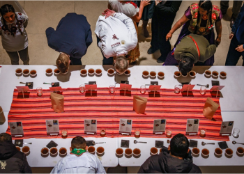 El café mexicano demuestra su calidad internacional en Berlín, Alemania, con sembradores de Sembrando Vida