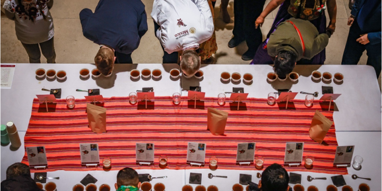 El café mexicano demuestra su calidad internacional en Berlín, Alemania, con sembradores de Sembrando Vida