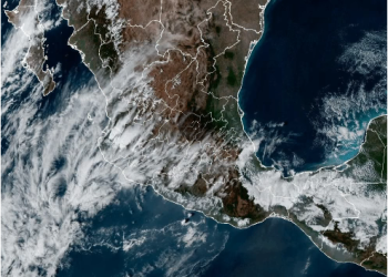 ¡No guardes tu cobija de tigre!