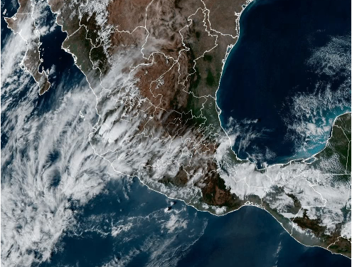 ¡No guardes tu cobija de tigre!