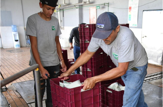 ¡Leche para el Bienestar a solo 7.50 pesos! Michoacán protege la economía de las familias