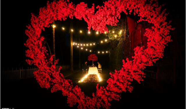 Entre naturaleza y romance, el Zoológico de Morelia te invita a una cena inolvidable