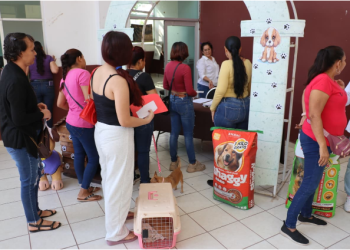 Gobierno de Apatzingán realiza 100 esterilizaciones en jornada de bienestar animal
