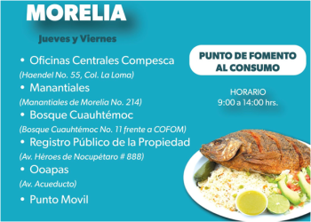¿Dónde comprar pescado de calidad y a bajo costo? Compesca inicia Programa de Cuaresma