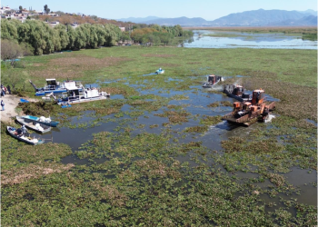 Michoacán rehabilitará 60 hectáreas del lago de Cuitzeo