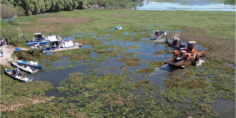 Michoacán rehabilitará 60 hectáreas del lago de Cuitzeo