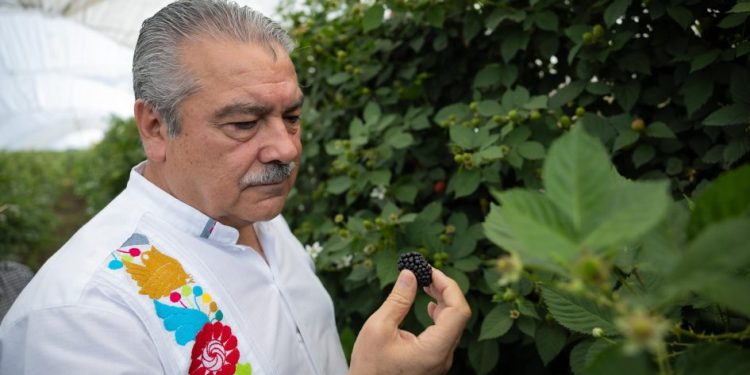 Raúl Morón, embajador de la unidad en Michoacán