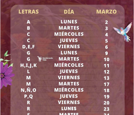 Inicia pago del bimestre marzo-abril de Programas para el Bienestar: Ariadna Montiel