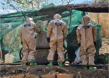 Agentes federales y estatales inhabilitan laboratorio para elaboración de drogas en Peribán