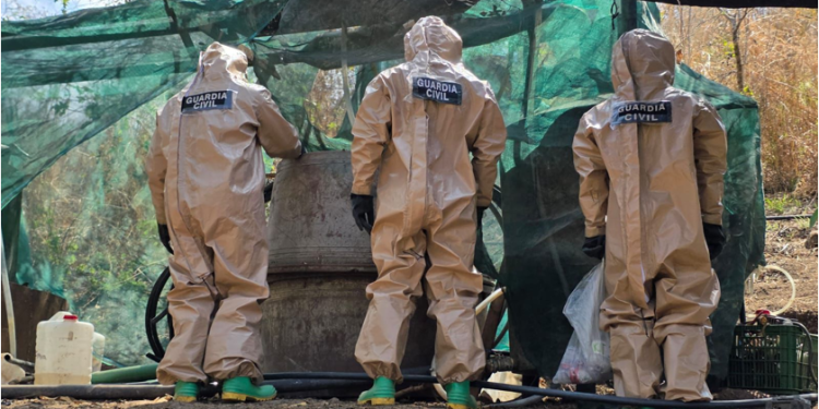 Agentes federales y estatales inhabilitan laboratorio para elaboración de drogas en Peribán